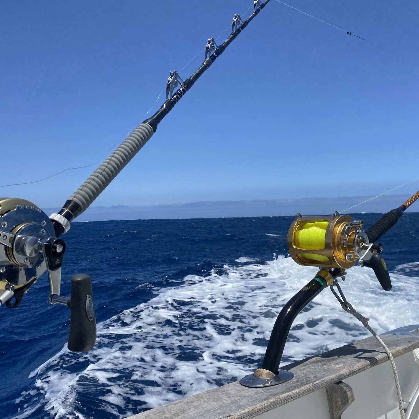 Boca Raton Fishing Charters in Madeira