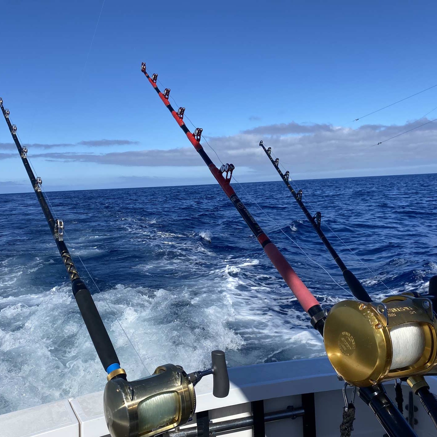 Boca Raton Fishing Charters in Madeira